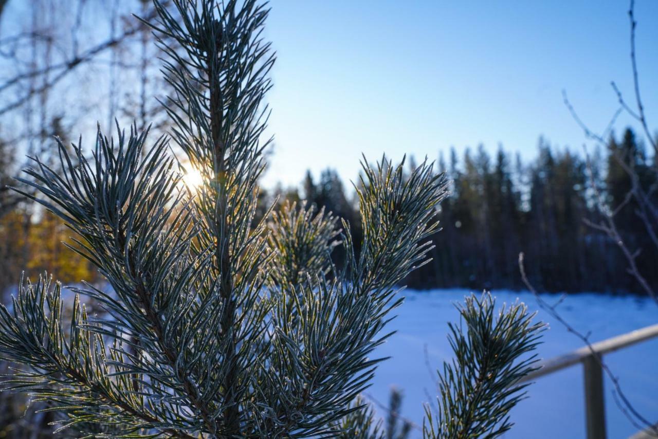 Asarna Skicenter Eksteriør billede