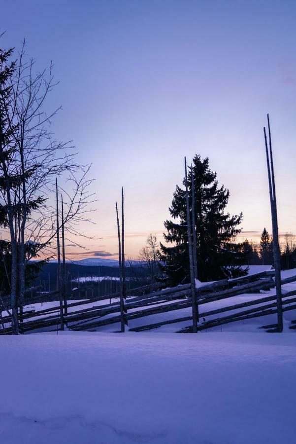 Asarna Skicenter Eksteriør billede